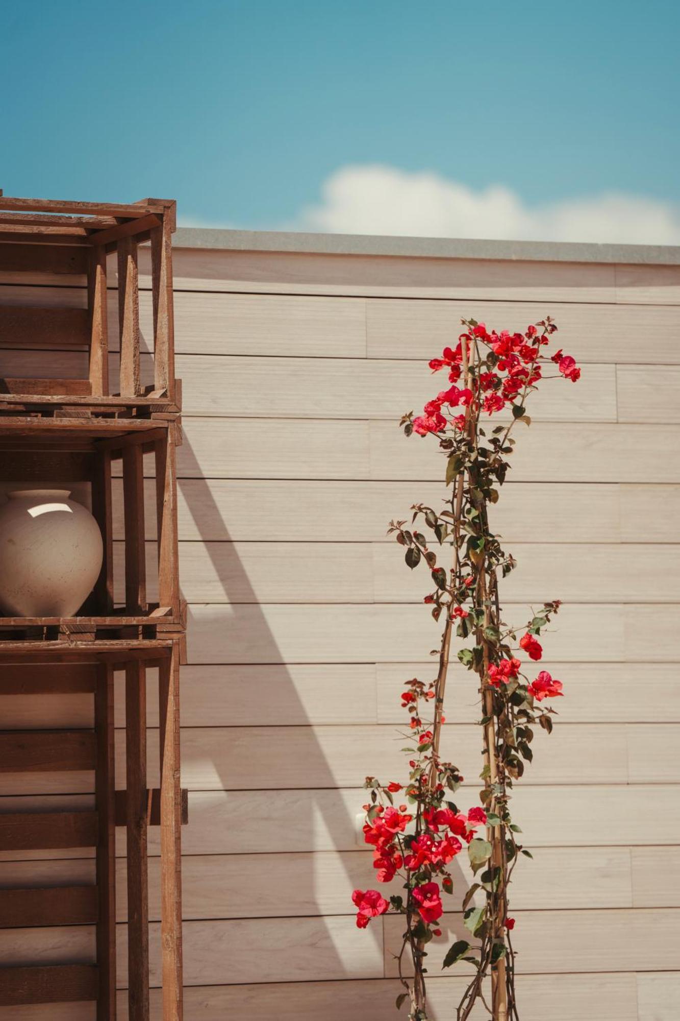 Hotel Honucai (Adults Only) Colonia de Sant Jordi Εξωτερικό φωτογραφία